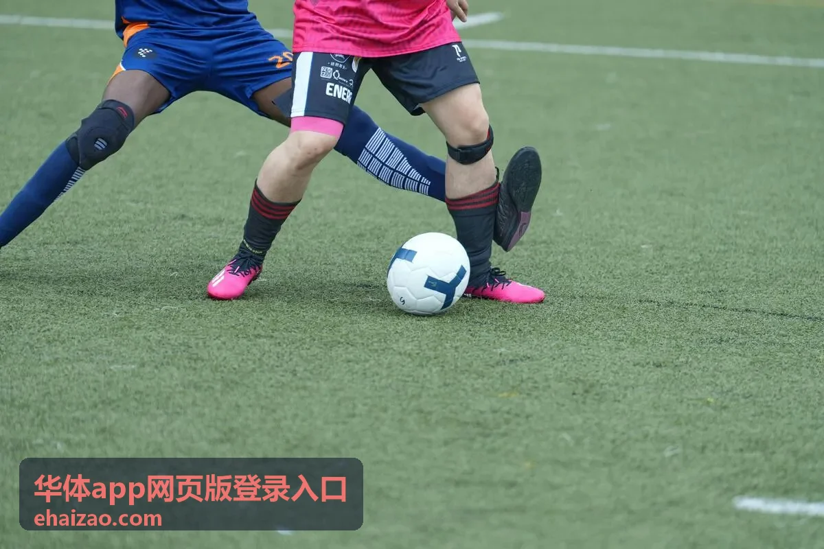 焦点赛事回放入口恢复_华体app