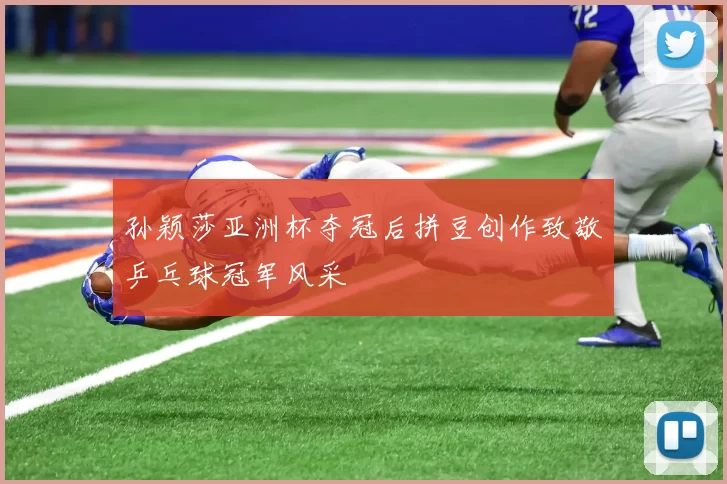 孙颖莎亚洲杯夺冠后拼豆创作致敬乒乓球冠军风采