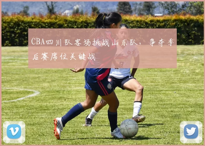 CBA四川队客场挑战山东队，争夺季后赛席位关键战