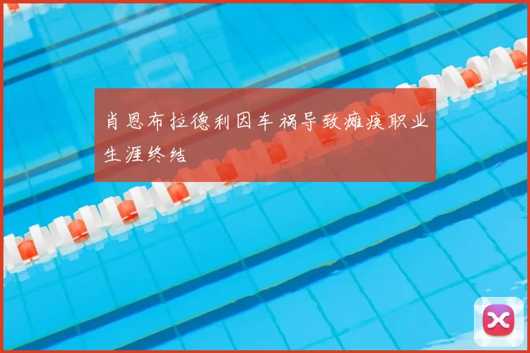 肖恩布拉德利因车祸导致瘫痪职业生涯终结