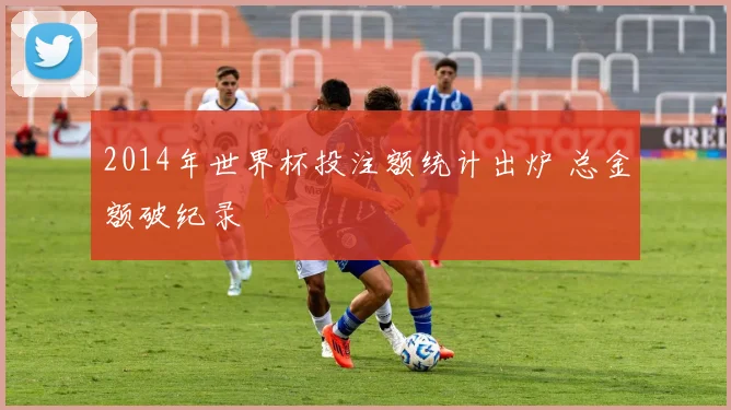 2014年世界杯投注额统计出炉 总金额破纪录