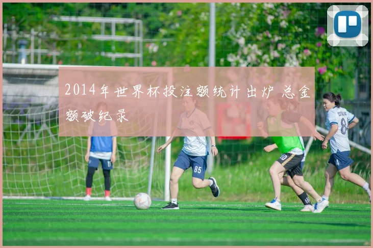 2014年世界杯投注额统计出炉 总金额破纪录