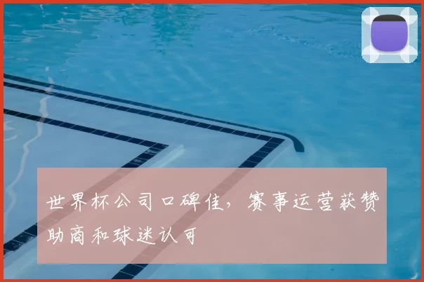 世界杯公司口碑佳,赛事运营获赞助商和球迷认可
