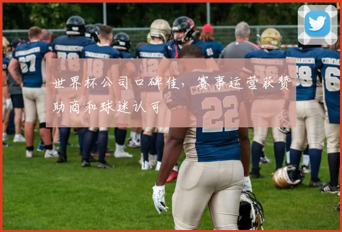 世界杯公司口碑佳,赛事运营获赞助商和球迷认可