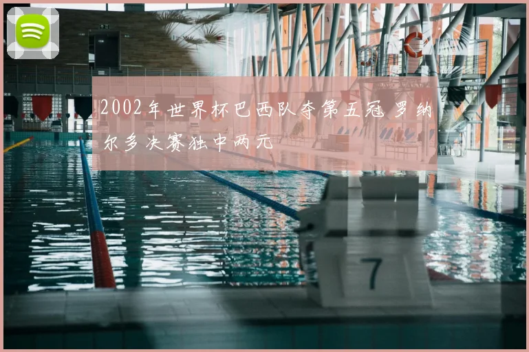 2002年世界杯巴西队夺第五冠 罗纳尔多决赛独中两元