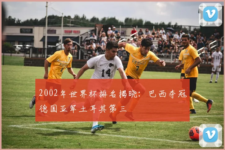2002年世界杯排名揭晓:巴西夺冠德国亚军土耳其第三